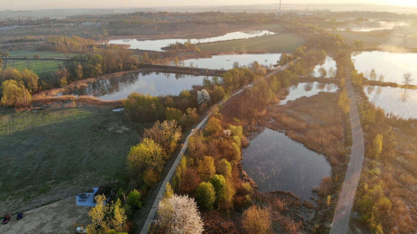 Żabie Doły