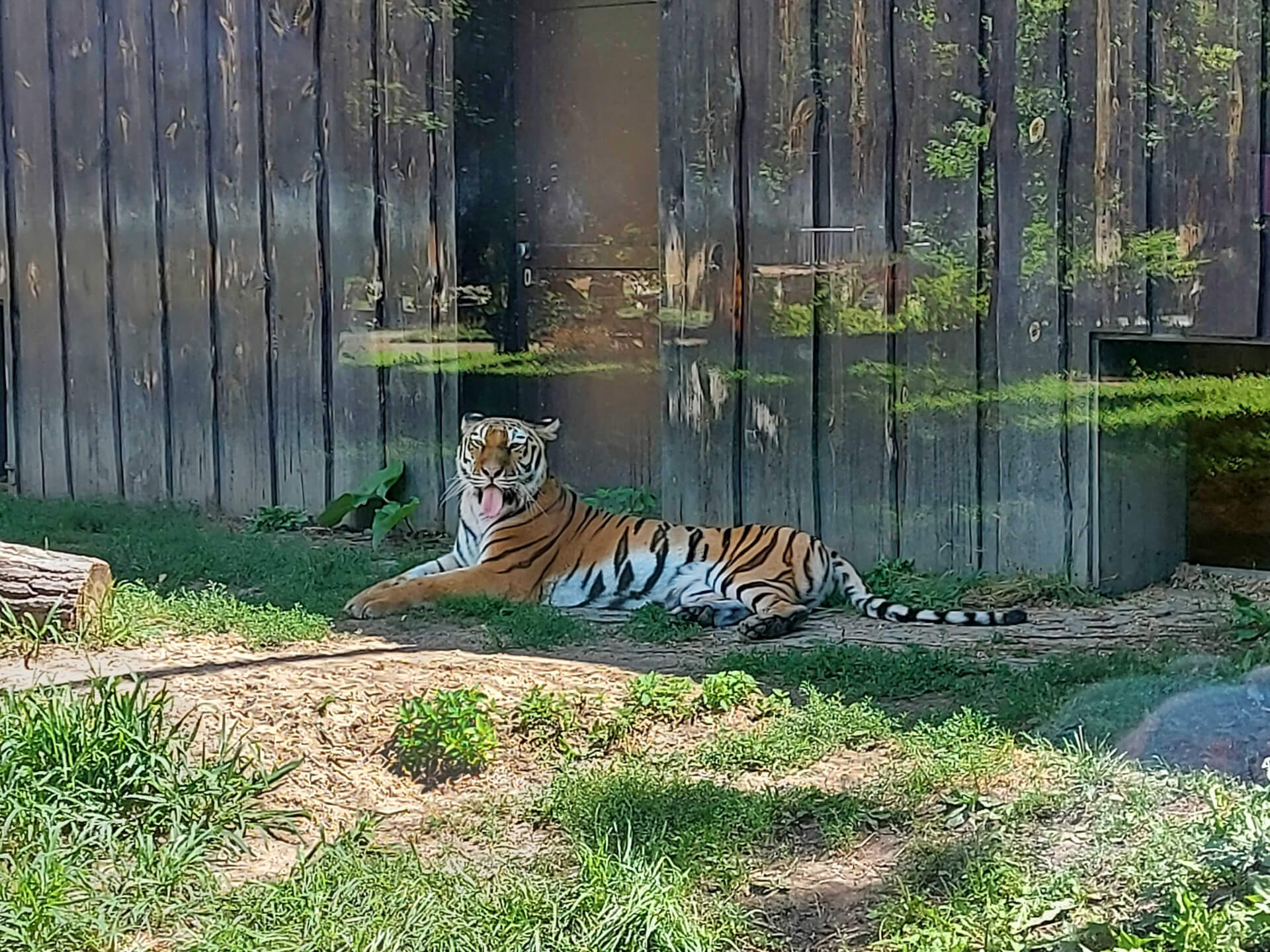 Śląski Ogród Zoologiczny