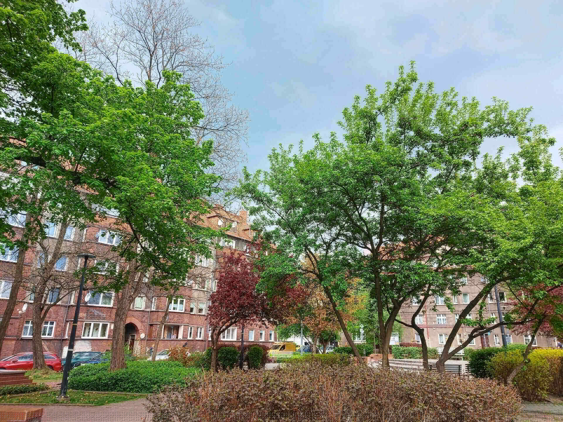 Plac Rodła