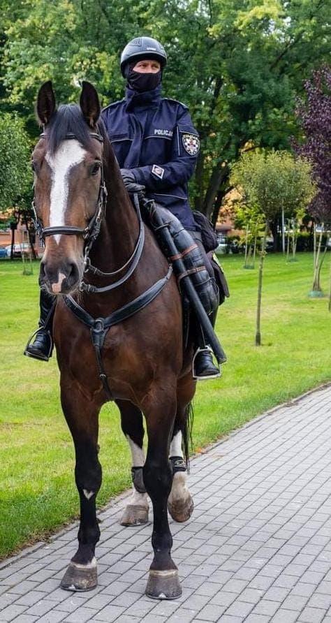 Blue Baker na służbie