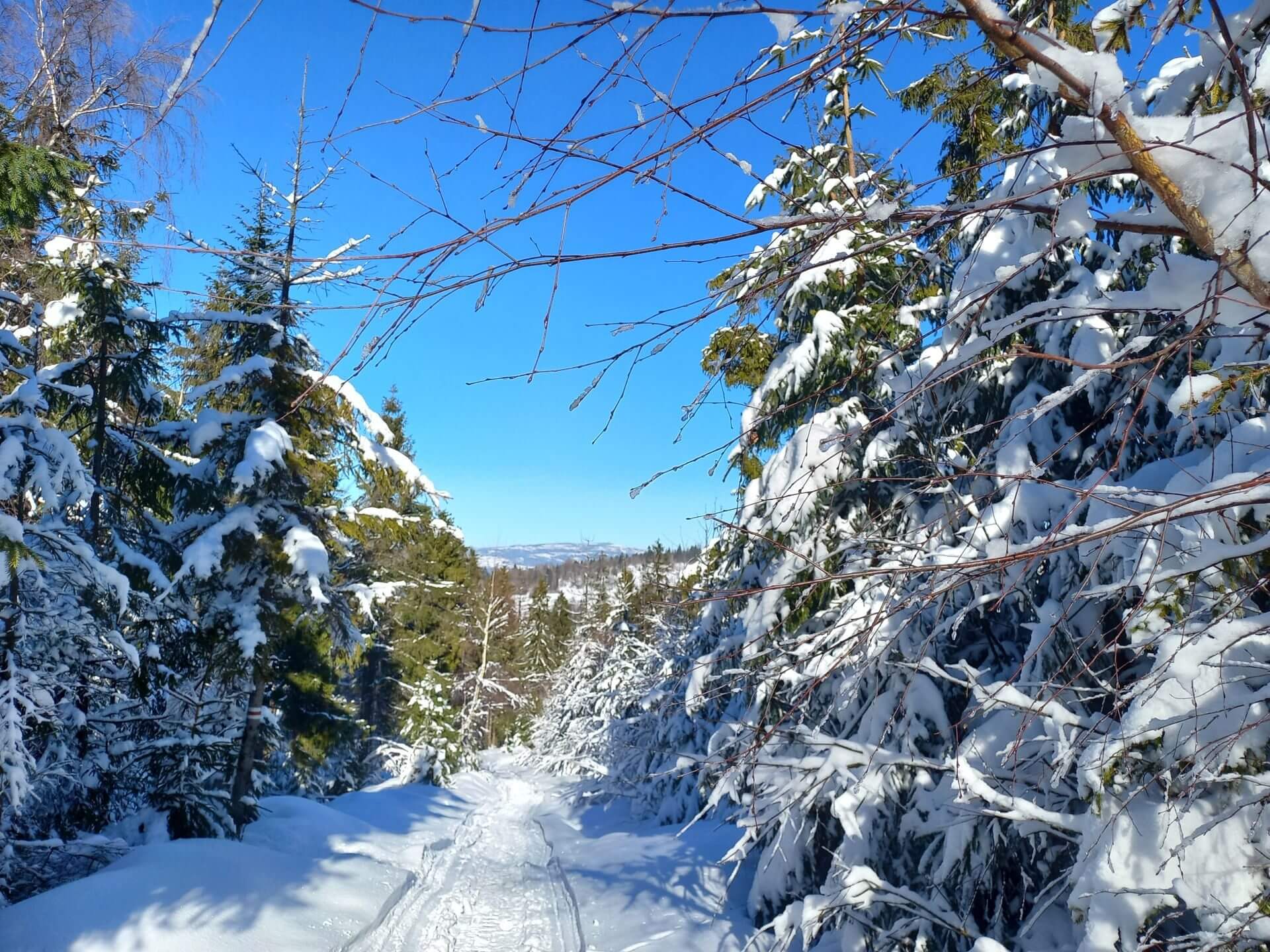 Beskid Zywiecki Zima