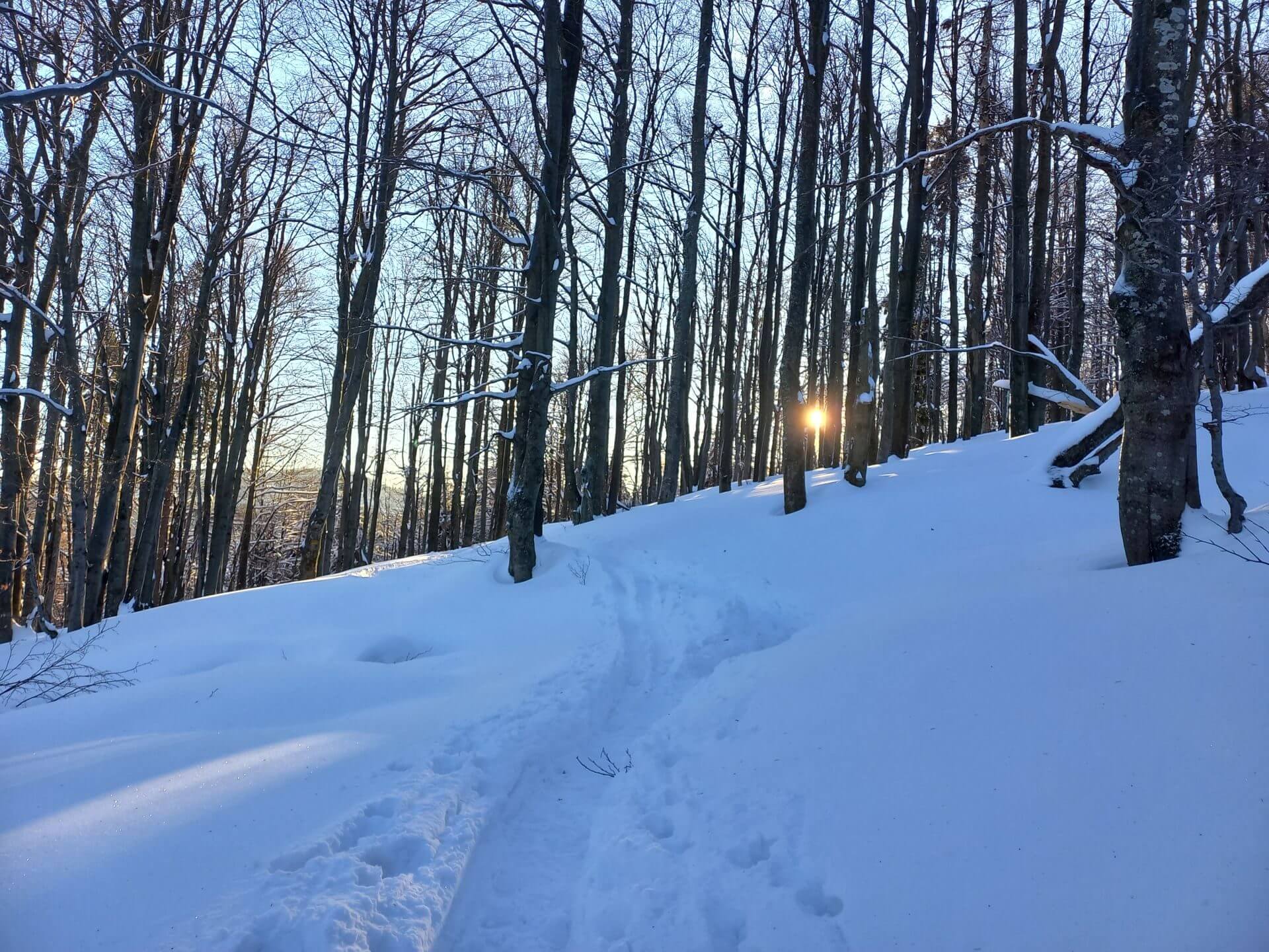 Beskid Zywiecki Zima