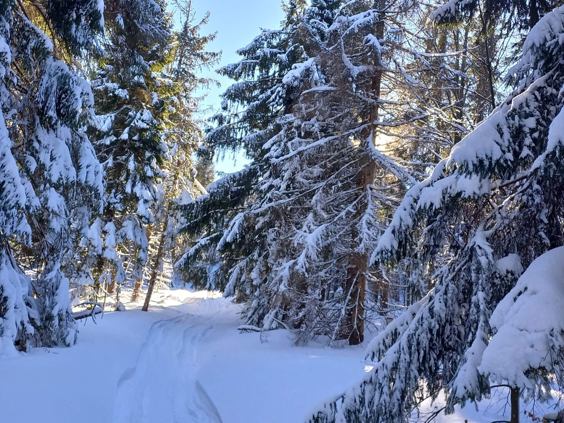 Beskid Zywiecki Zima