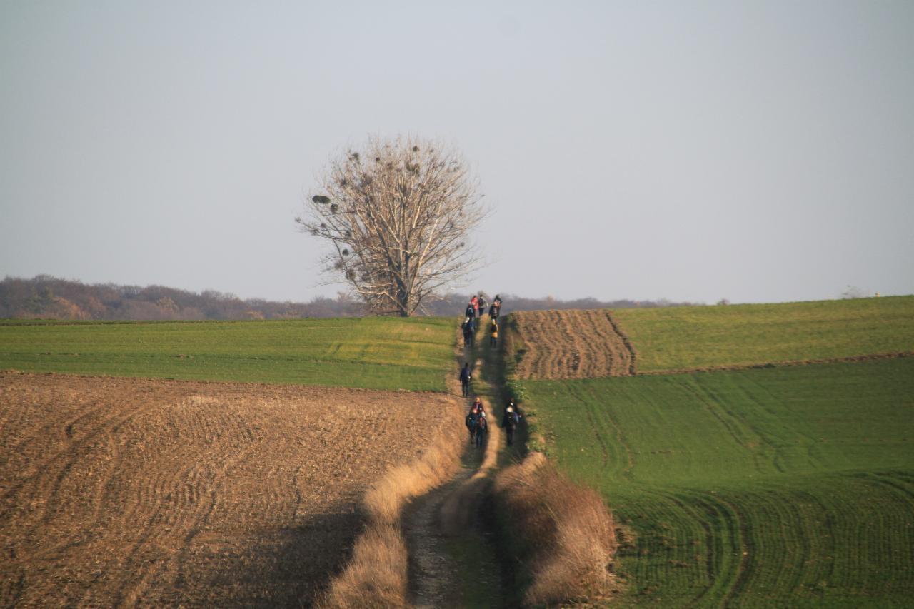 Camino w województwie śląskim