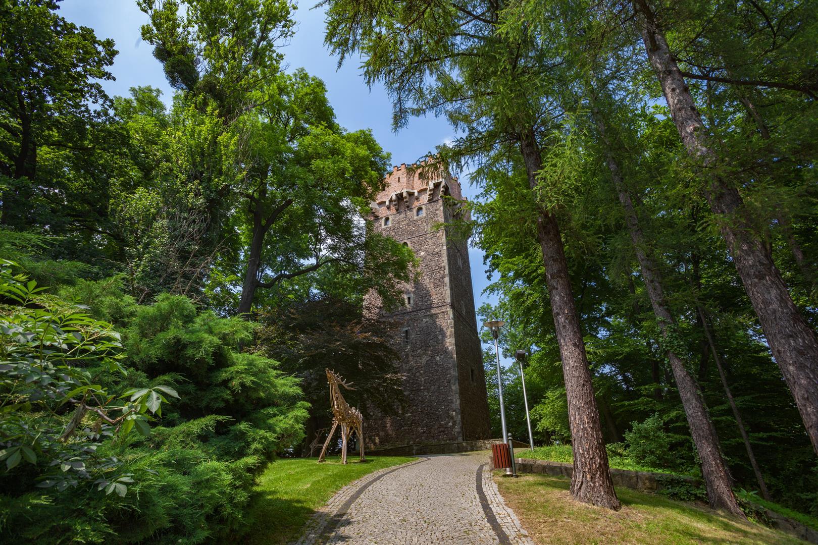 Cieszyn Wzgórze Zamkowe Wieża Piastowska
