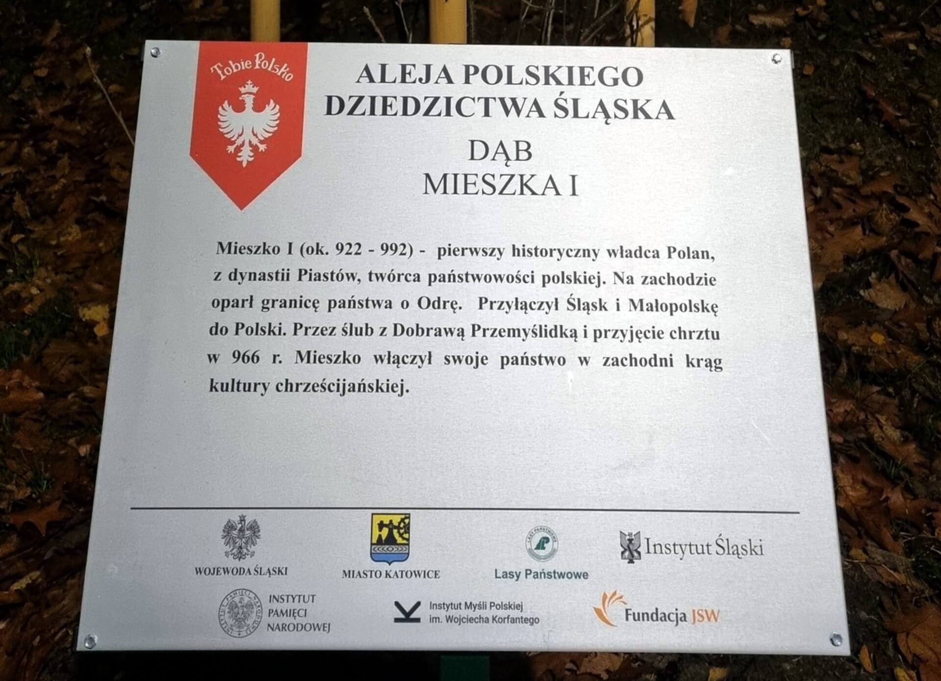 Tablica przy dębie Mieszka I