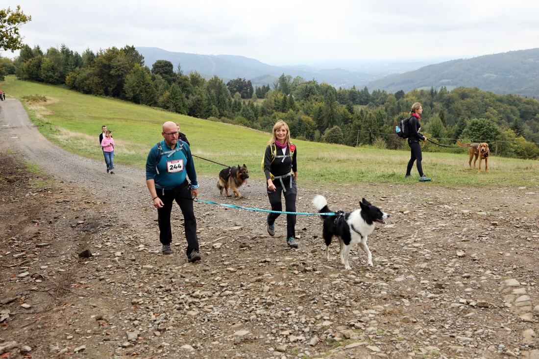 Dogtrekking Wisła