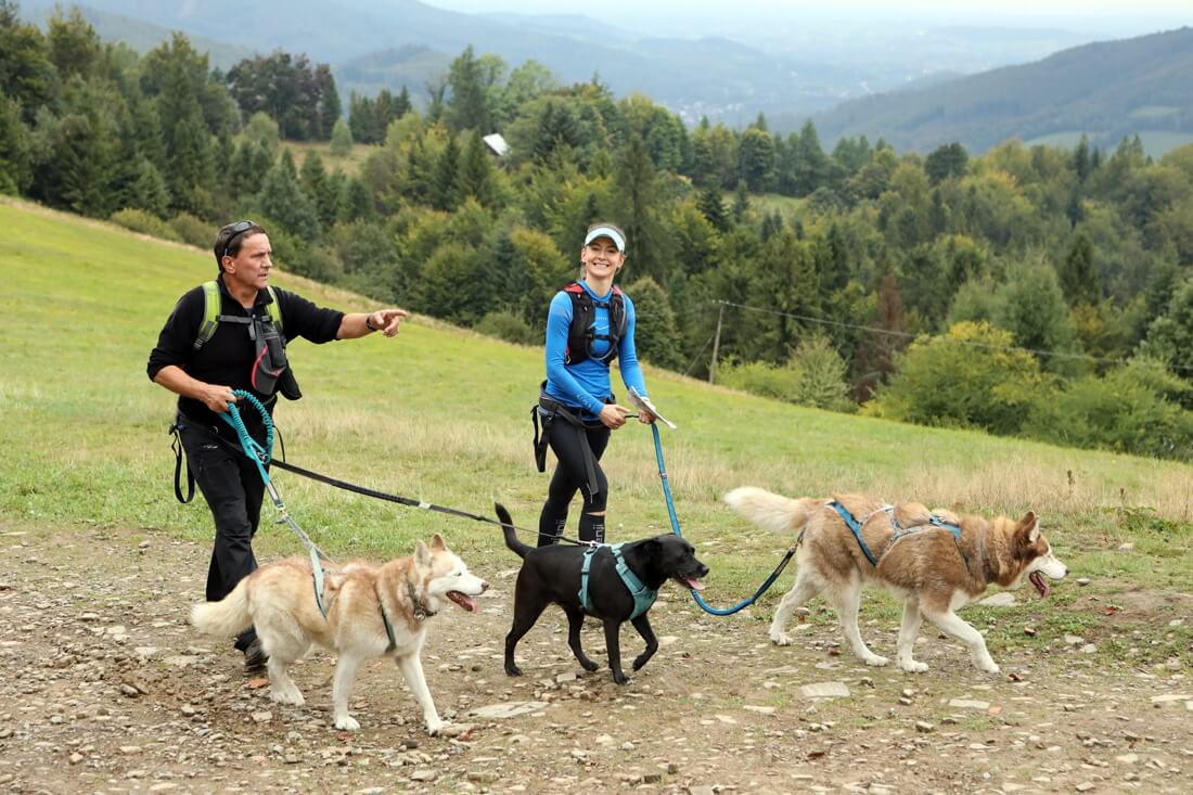 Dogtrekking Wisła