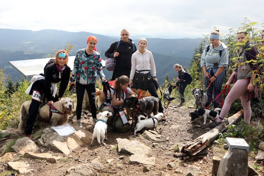 Dogtrekking Wisła