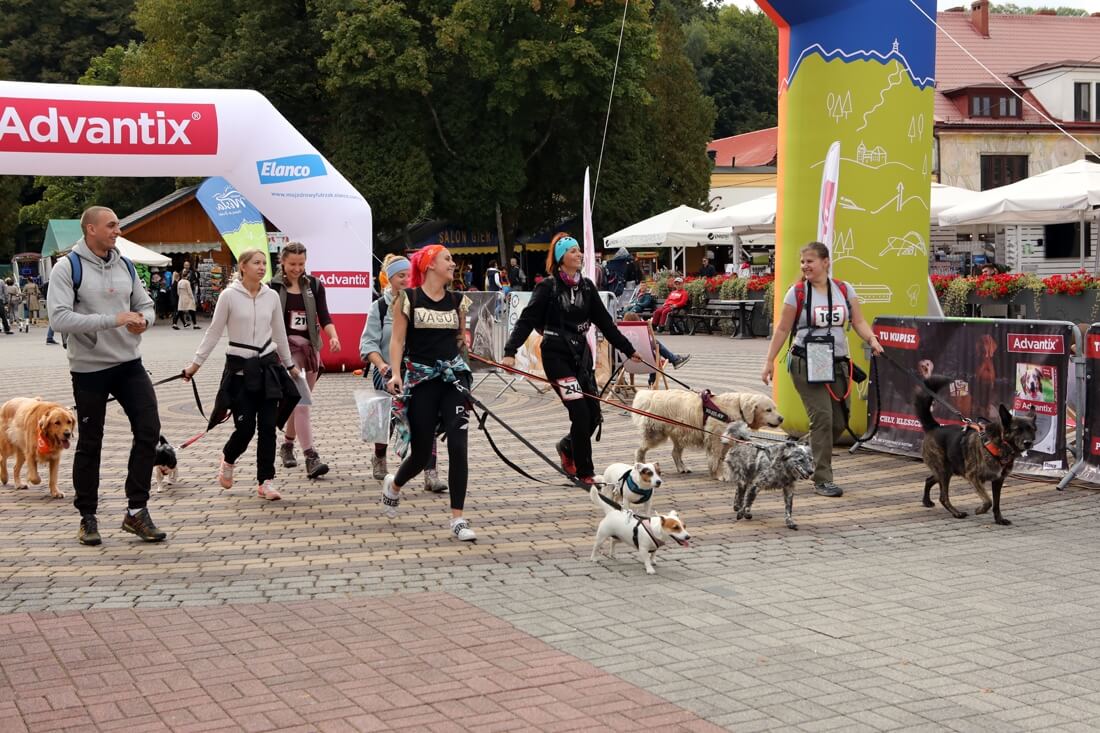 Dogtrekking Wisła