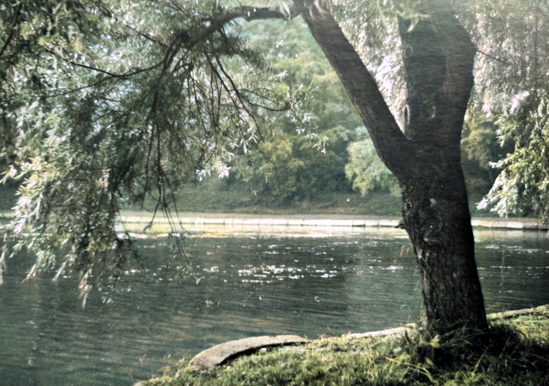 Duży Staw w latach 50 4