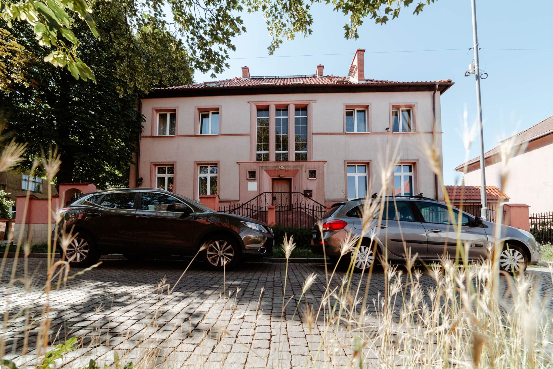 Enklawa willowa w Zabrzu