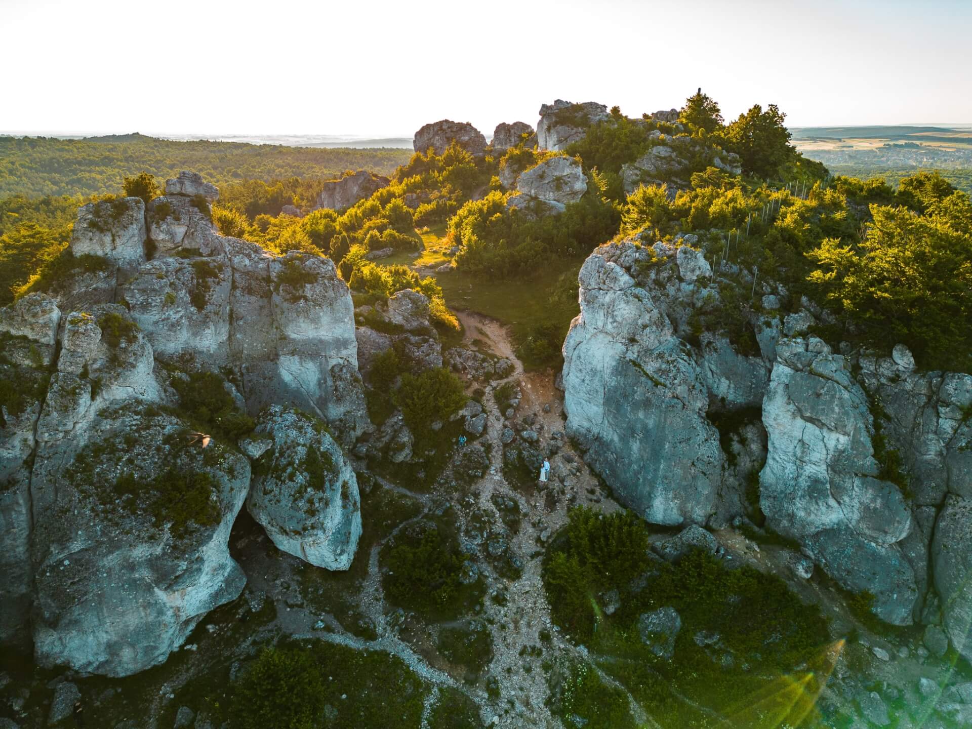 Góra Zborów