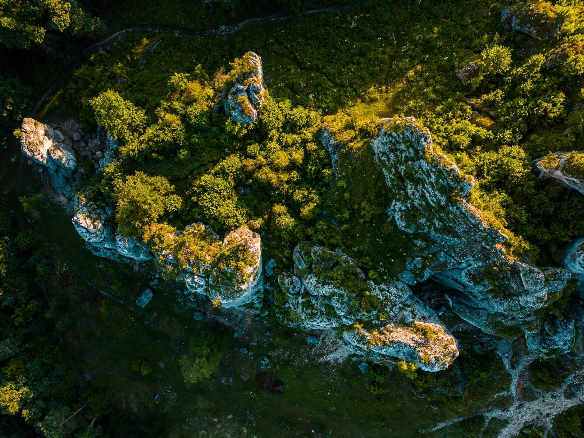 Góra Zborów