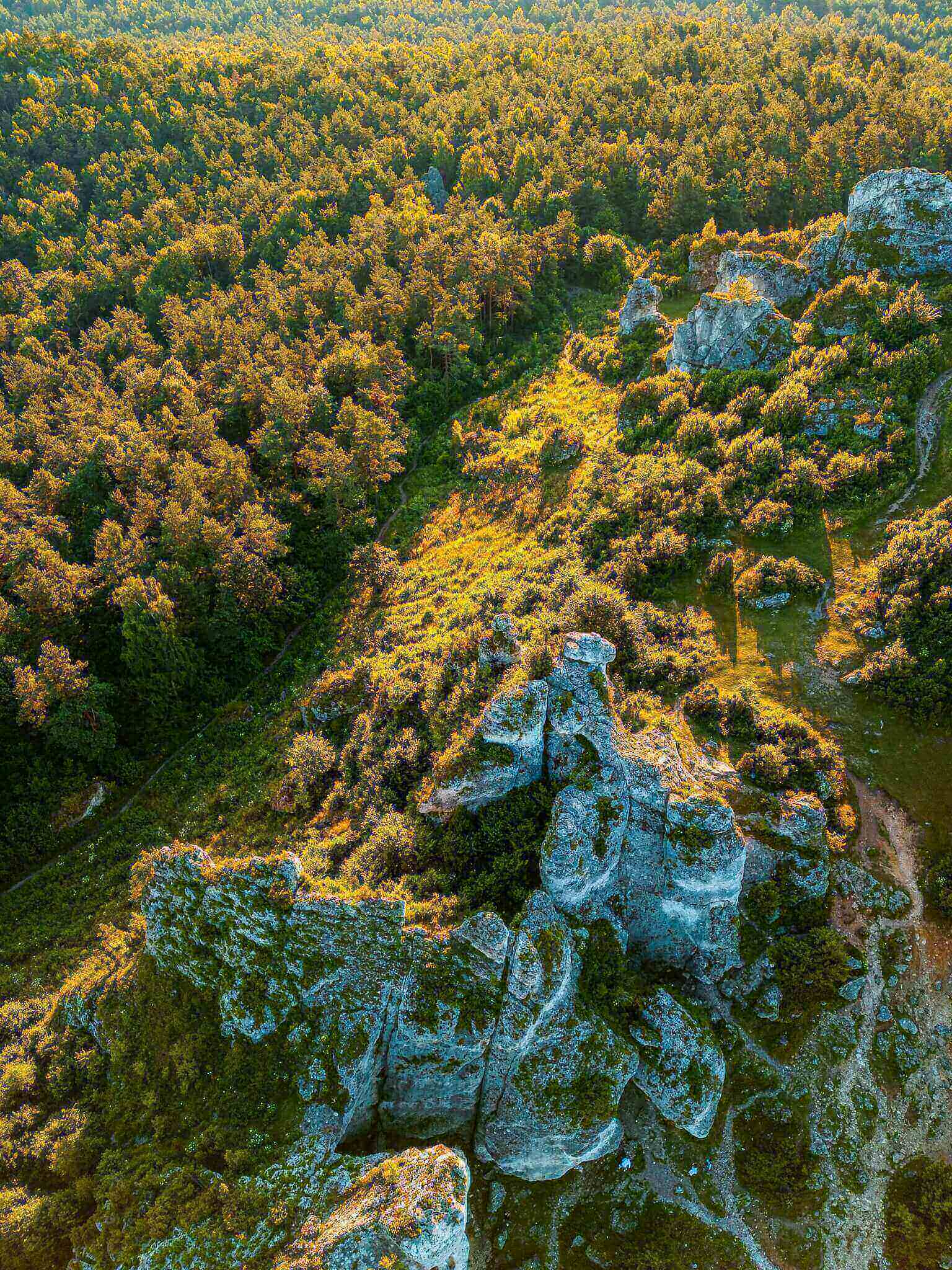 Góra Zborów