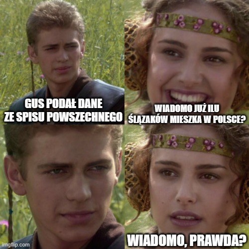 Spis powszechny mem