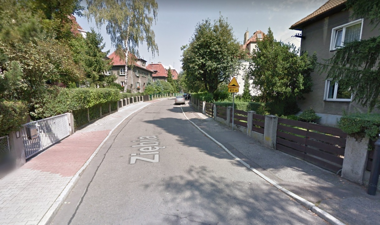 Gliwice ptasie ulice