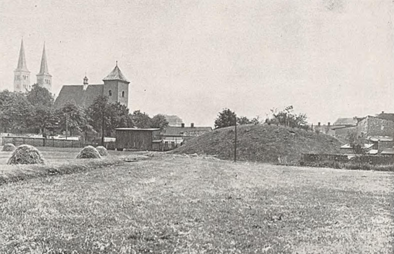 Grodziska i zamczyska śląskie