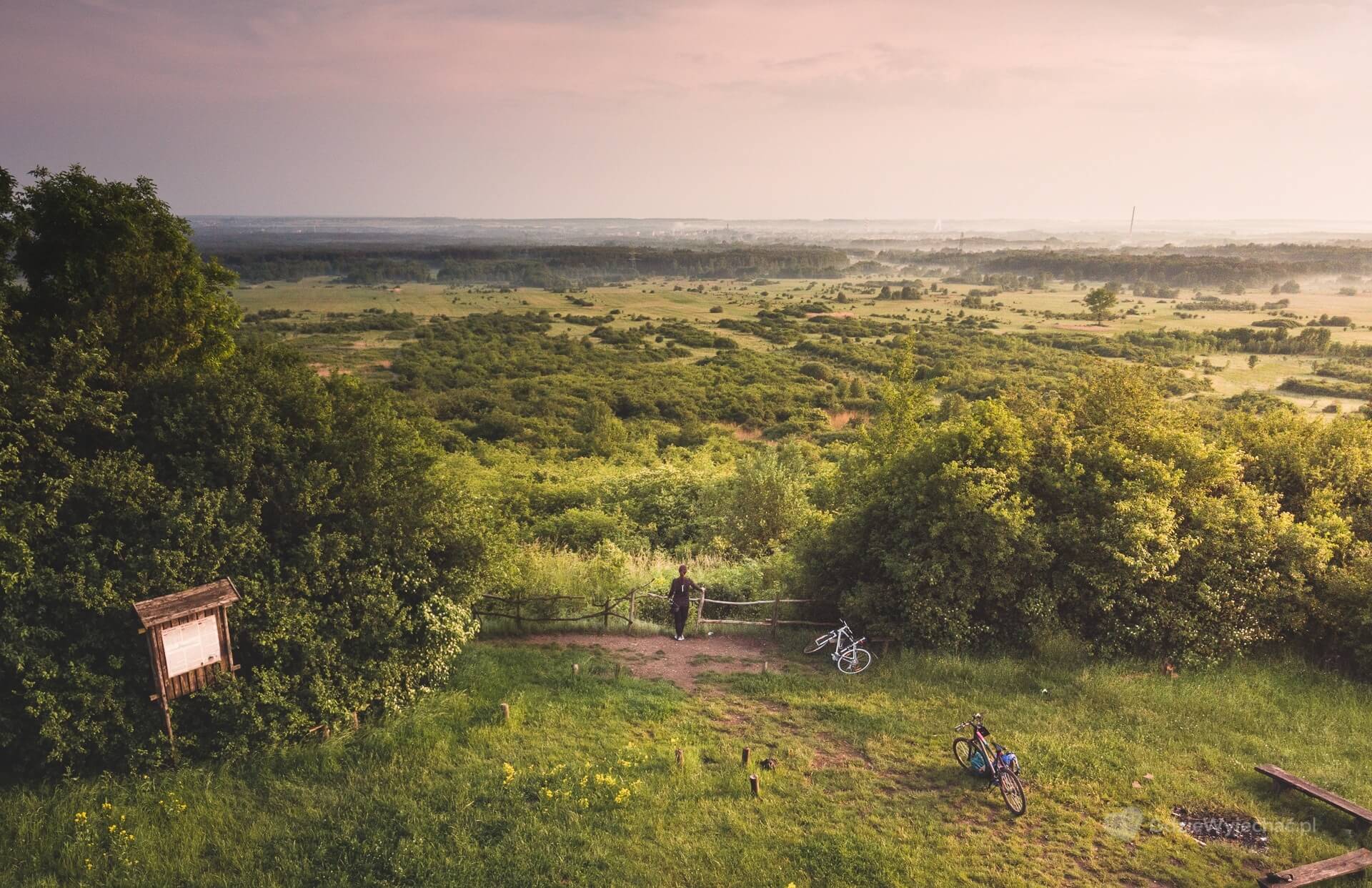 Jura Krakowsko-Częstochowska