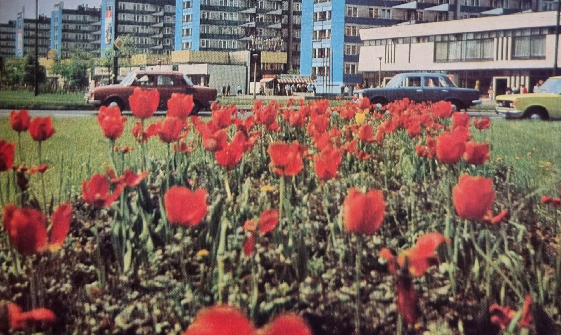 Katowice w latach 70