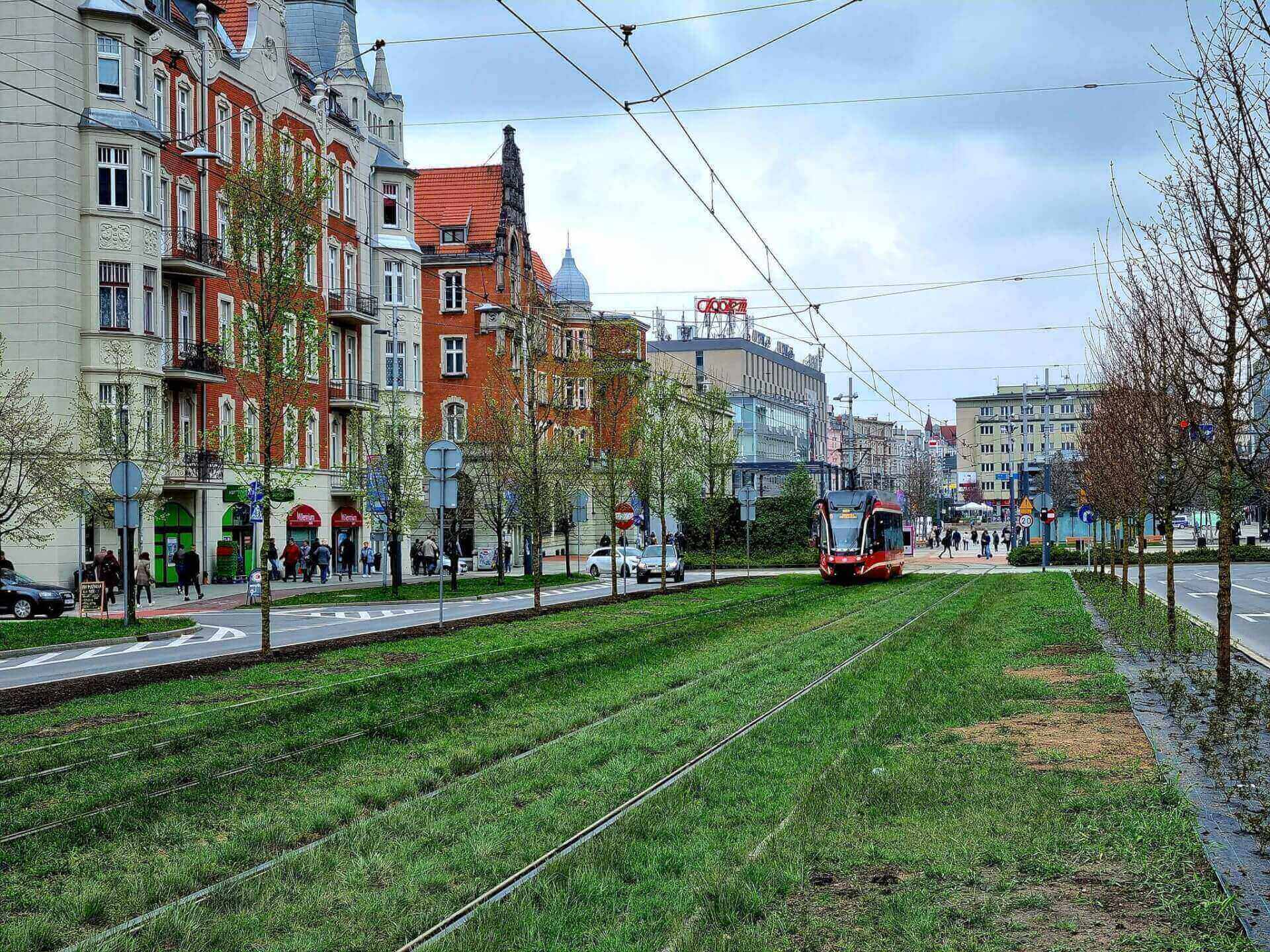 Aleja Korfantego, wiosna 2022: tramwajem przez trawnik w szpalerze drzew - nic dziwnego, że wielu się to spodobało