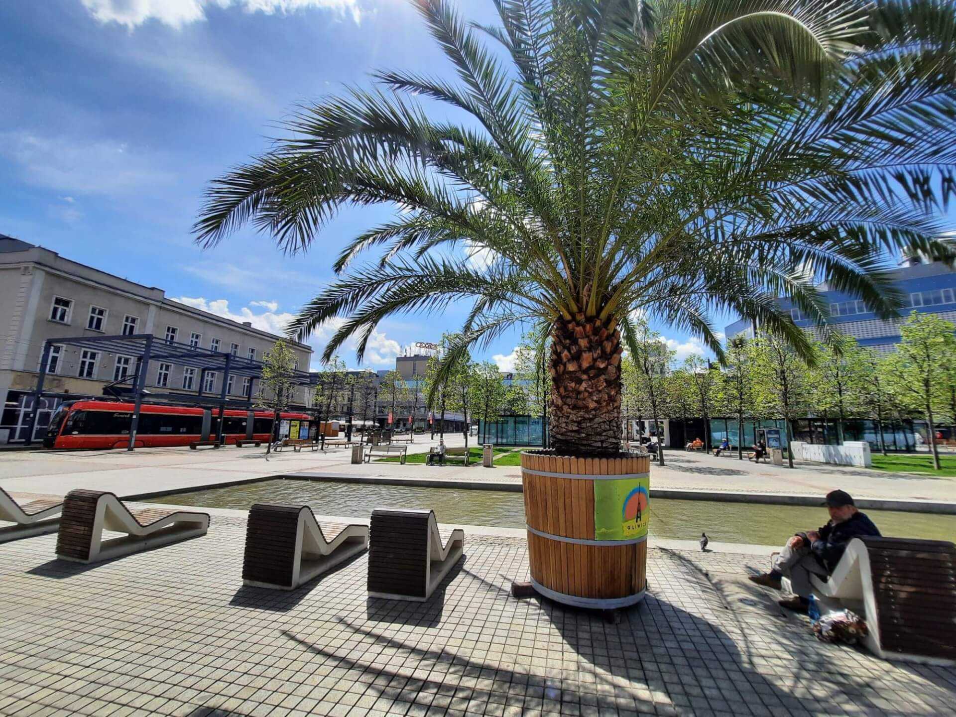 Katowice rynek w XXI wieku