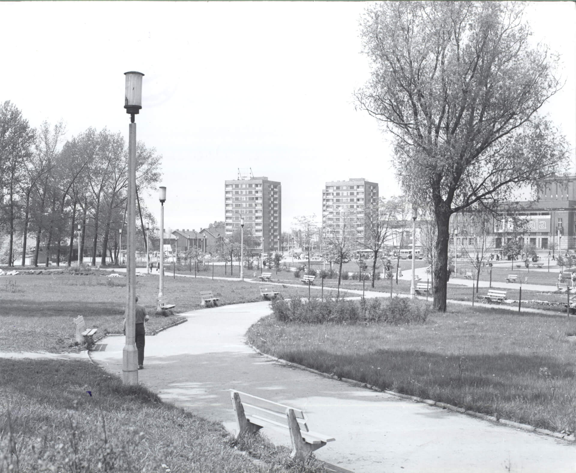 Dąbrowa Górnicza, park Centrum