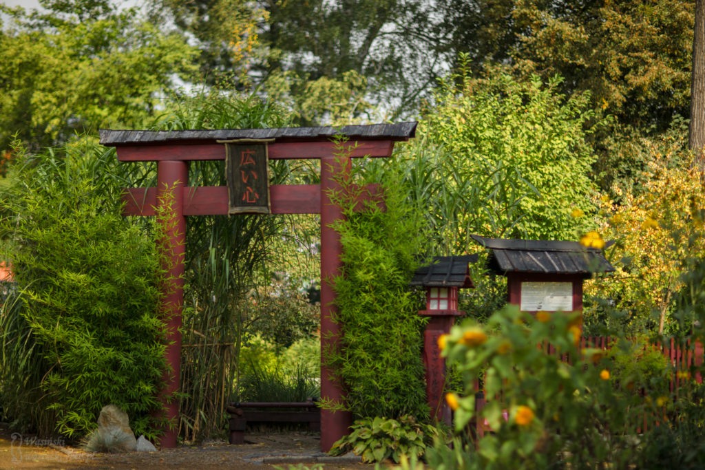 Miejski Ogród Botaniczny w Zabrzu