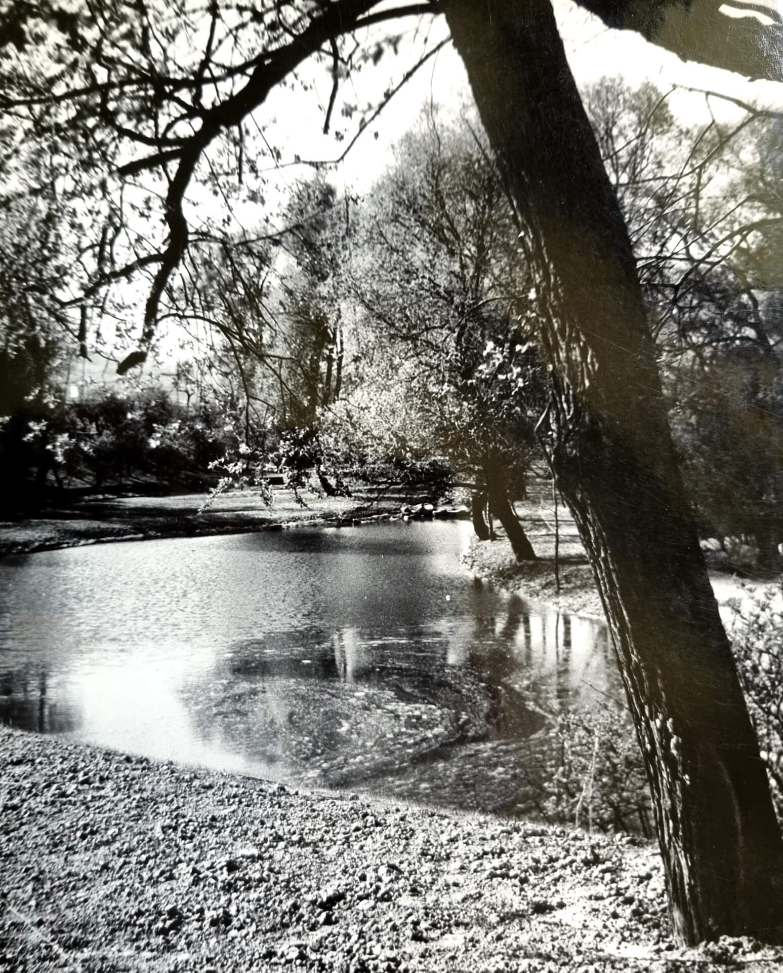 Nad Dużym Stawem w latach 50 19