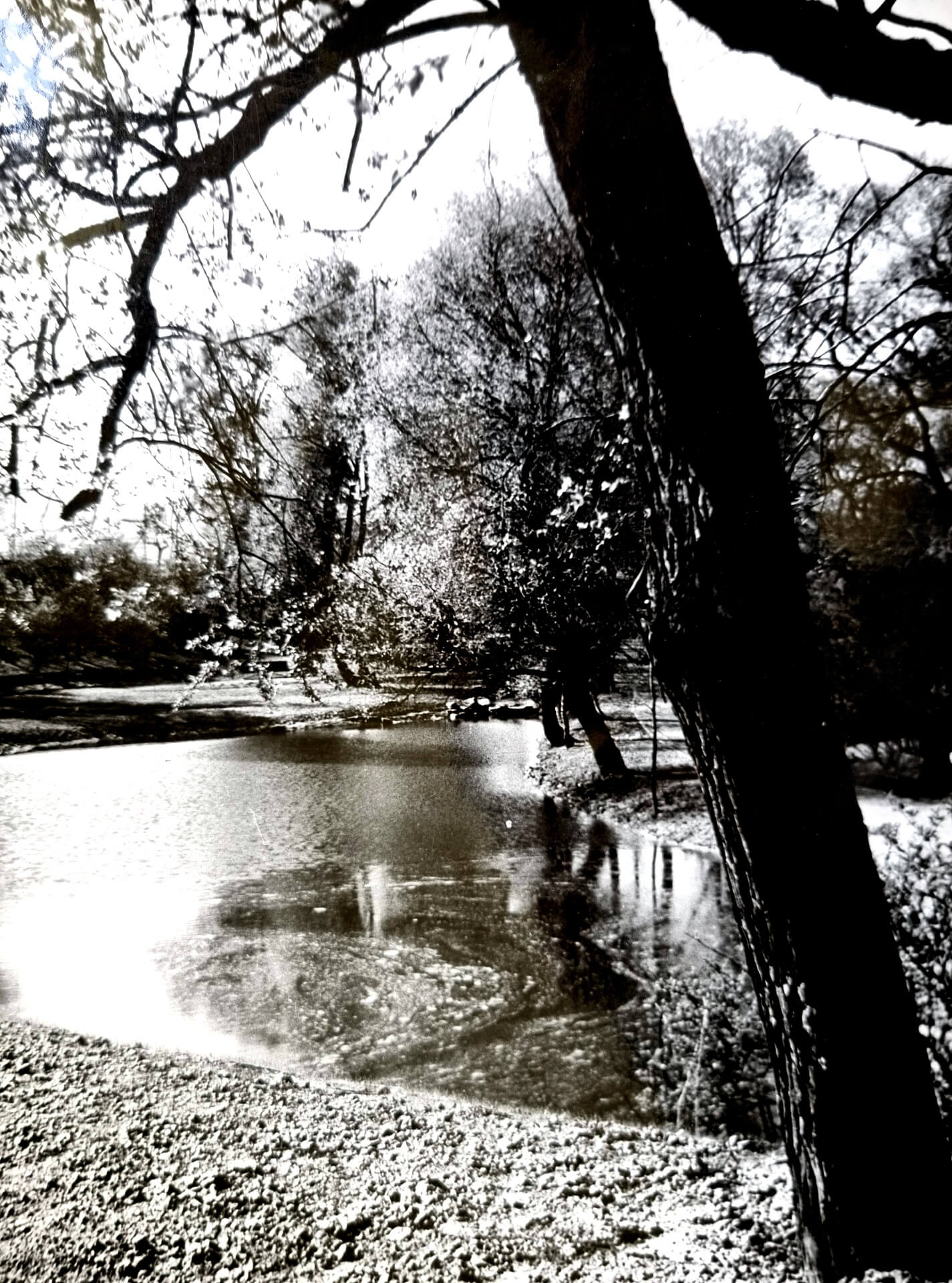 Nad Dużym Stawem w latach 50.