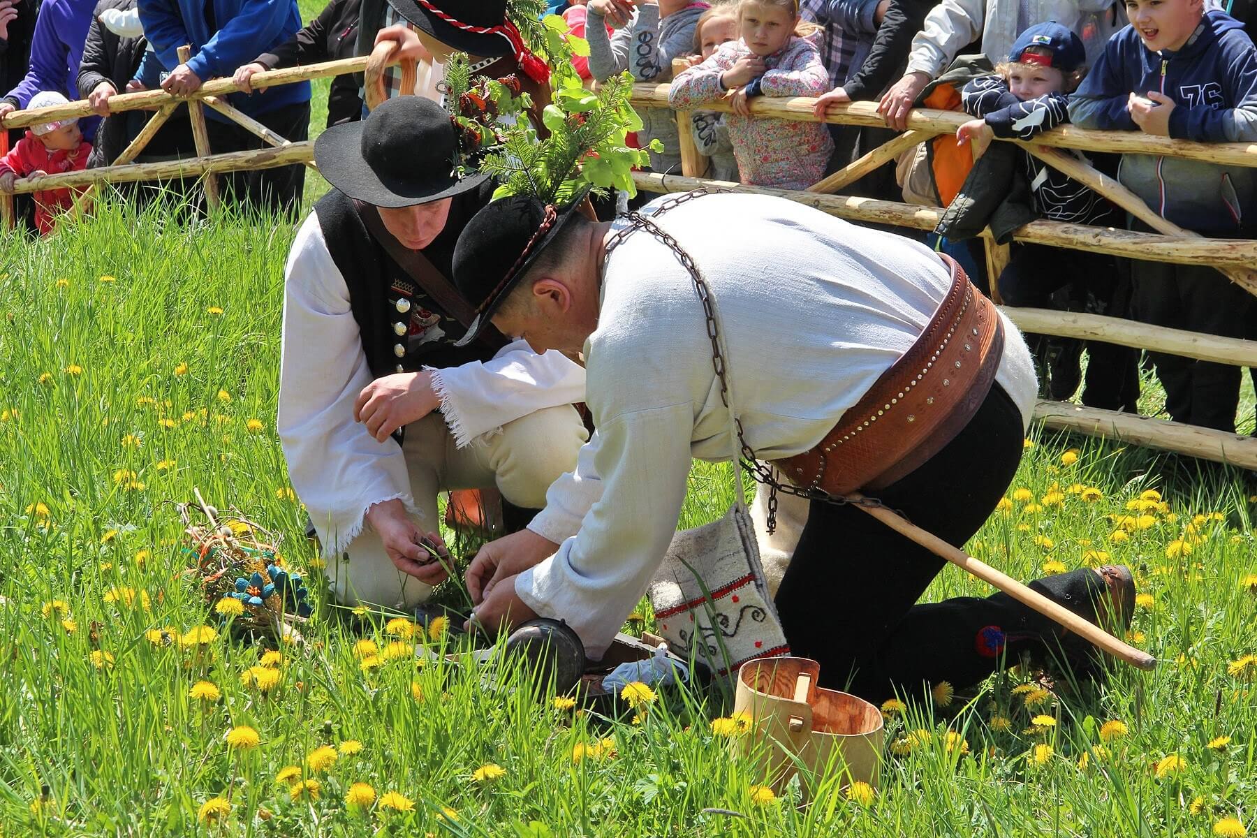 Obrzędy związane z tradycyjnym miyszaniem owiec Koniaków