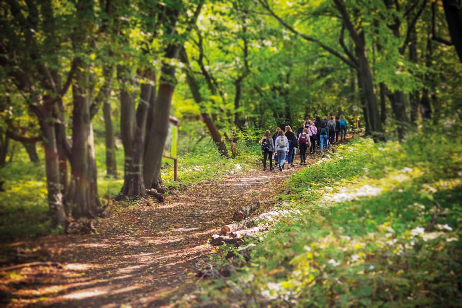 Ogród botaniczny w Mikołowie