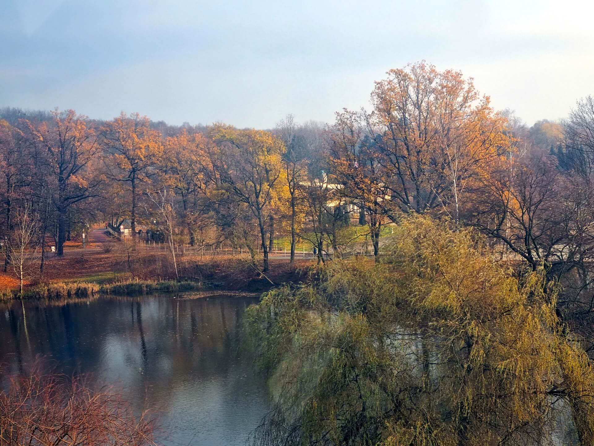 Park Śląski z "Elki" w listopadzie 2022