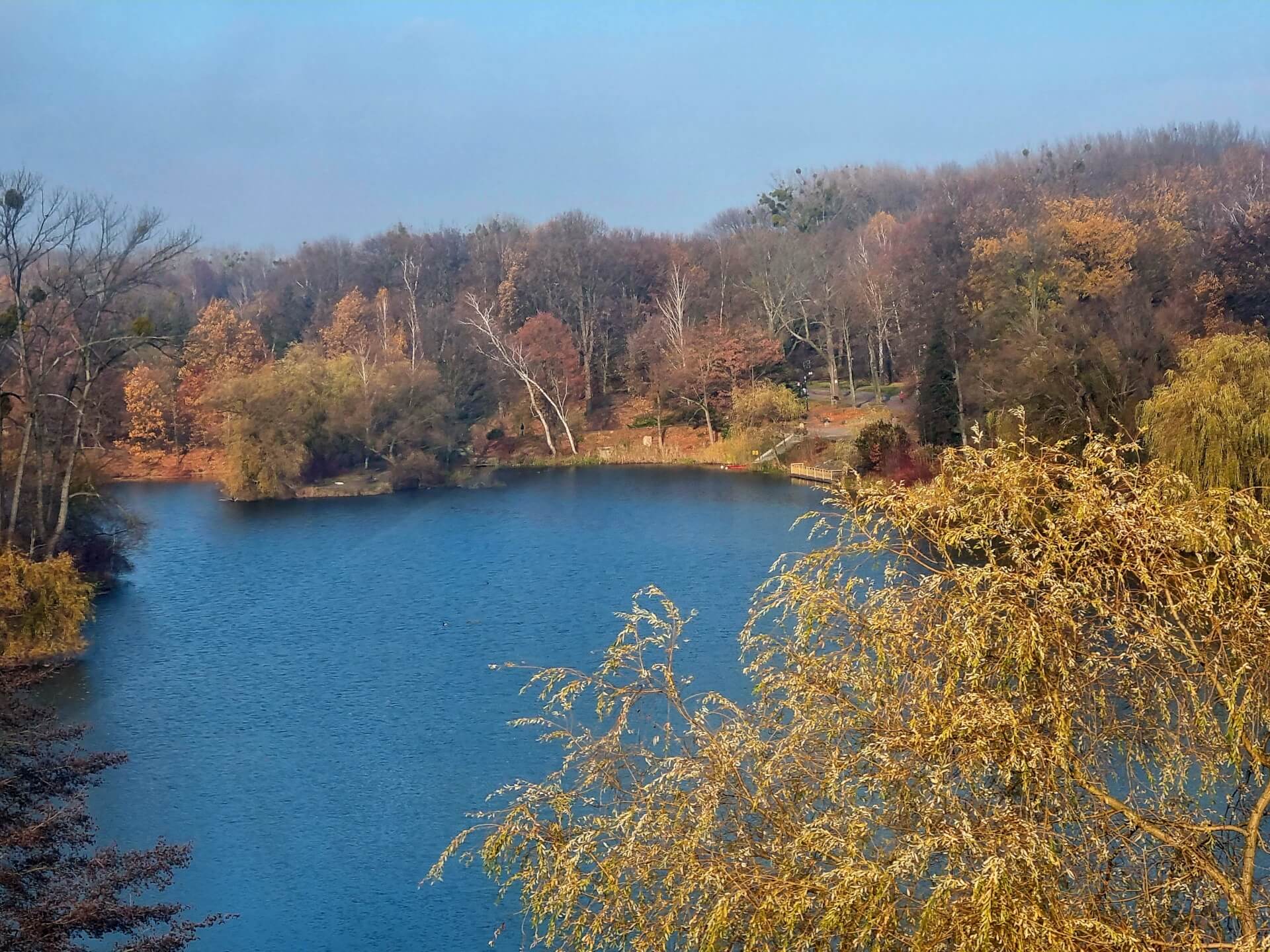 Park Śląski z "Elki" w listopadzie 2022