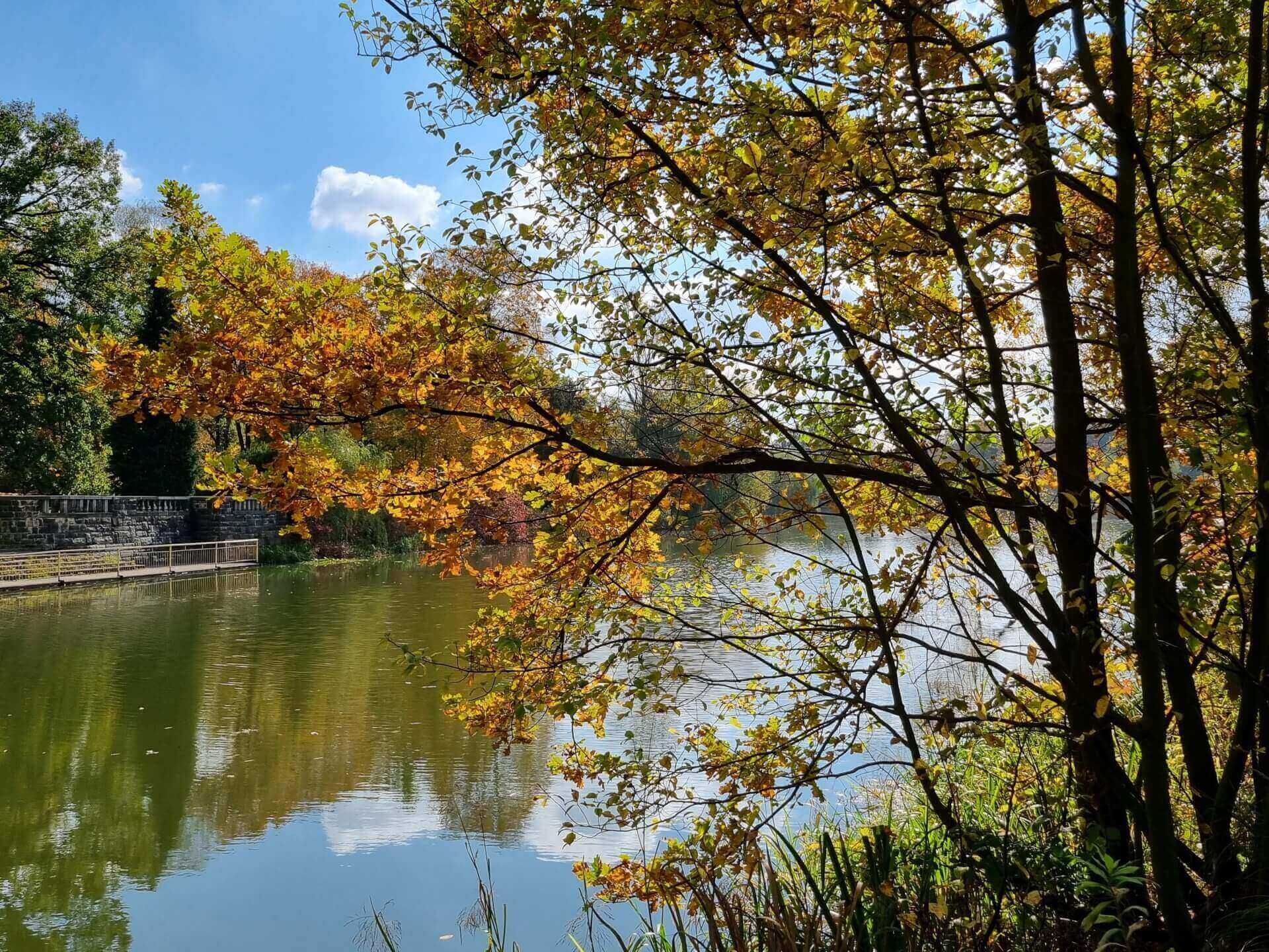 Park Śląski jesienią