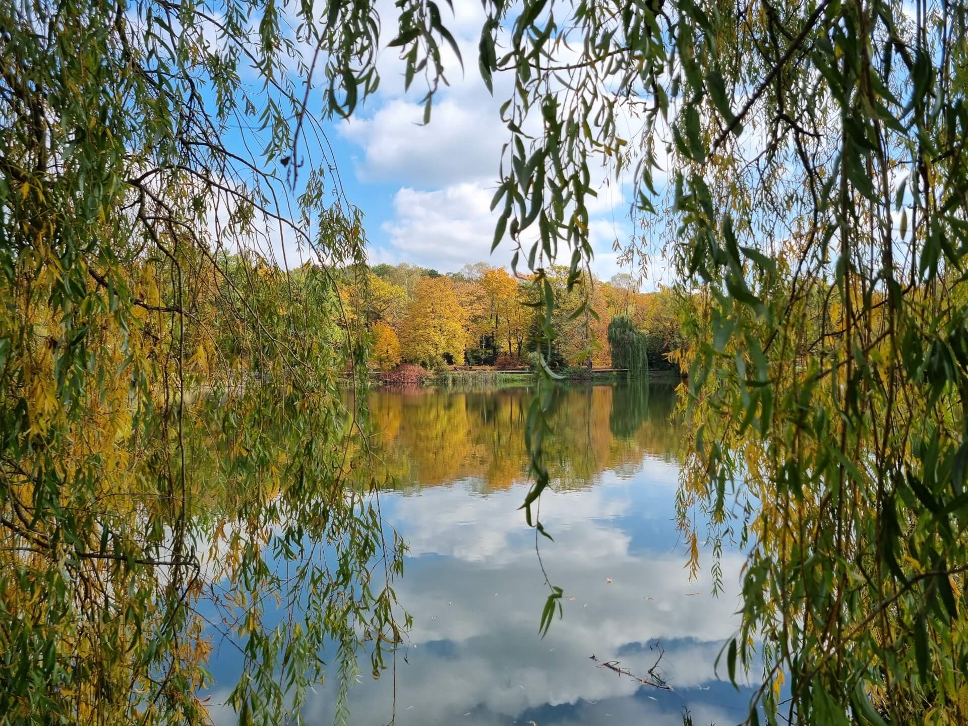 Park Śląski jesienią
