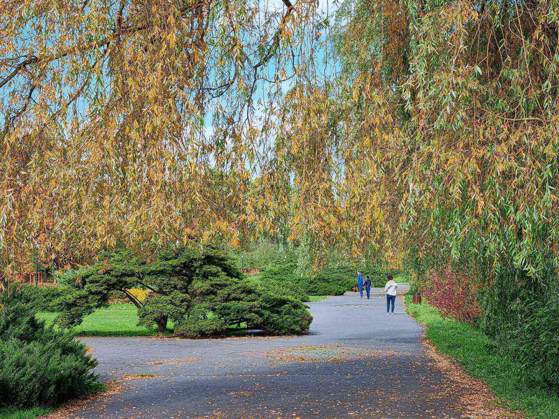 Park Śląski jesienią