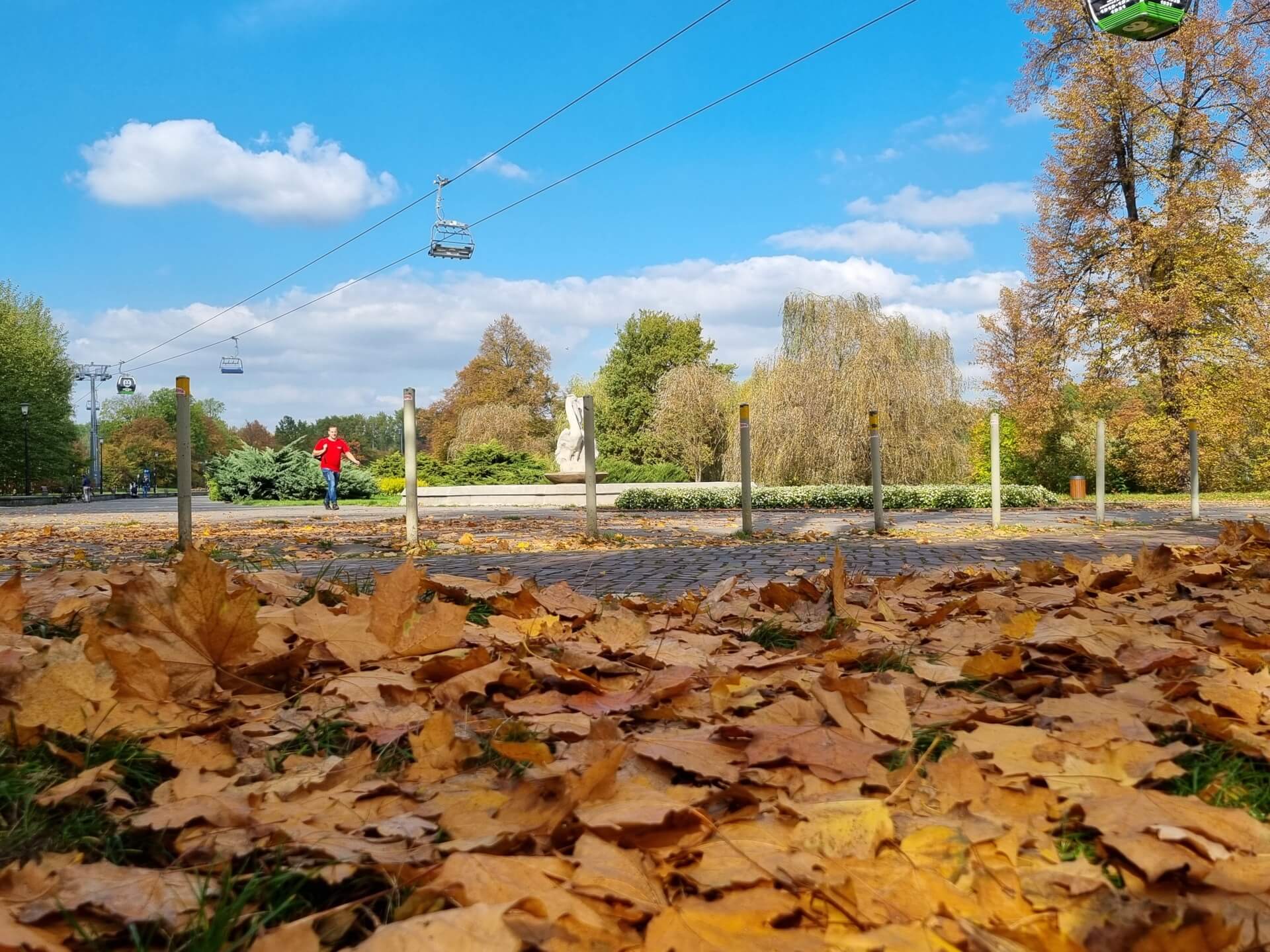 Park Śląski jesienią