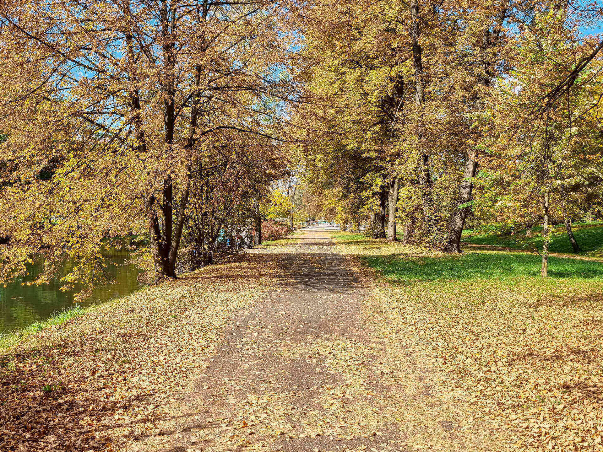 Park Śląski jesienią