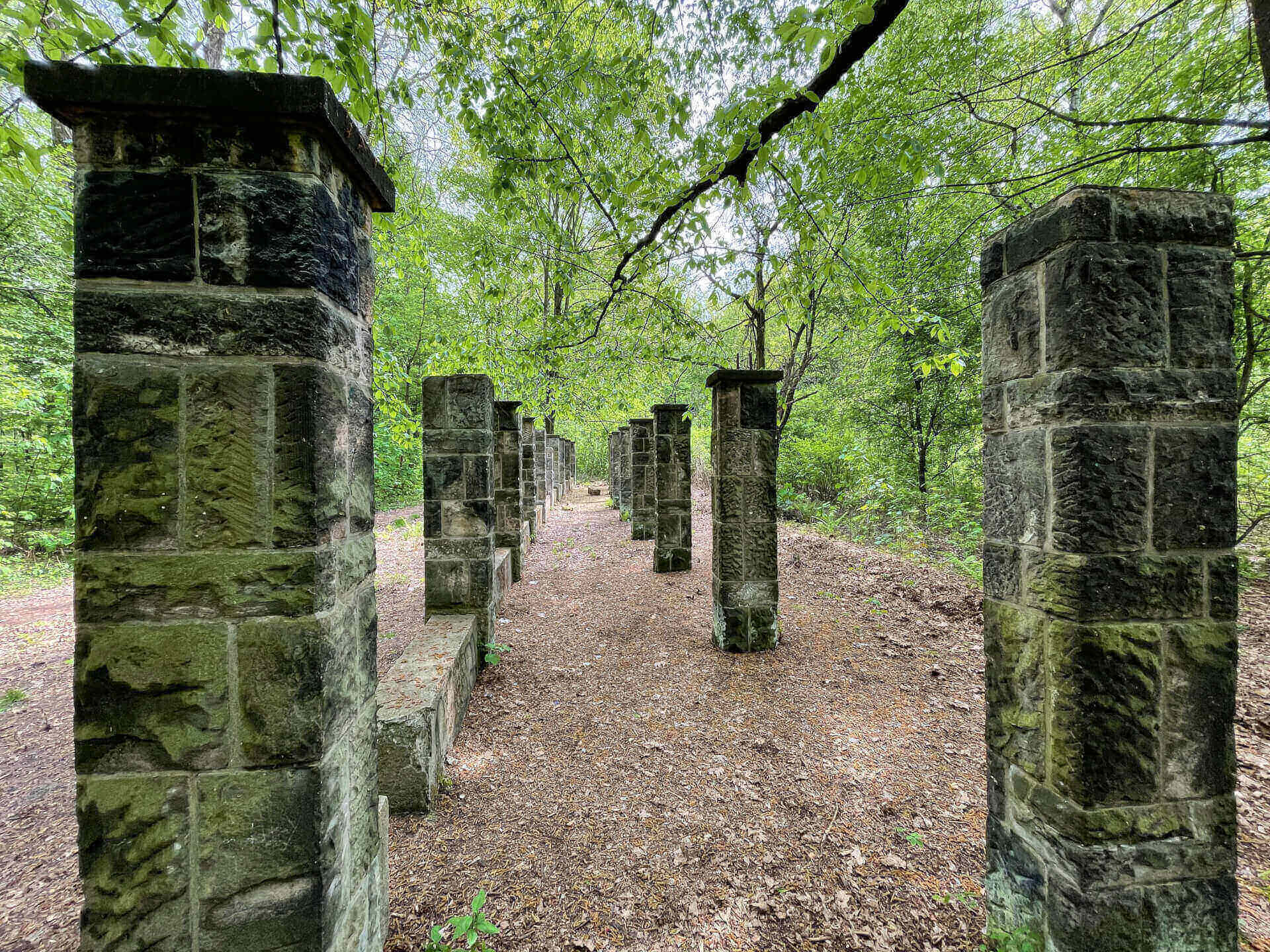 Park Śląski: ruiny alpinarium