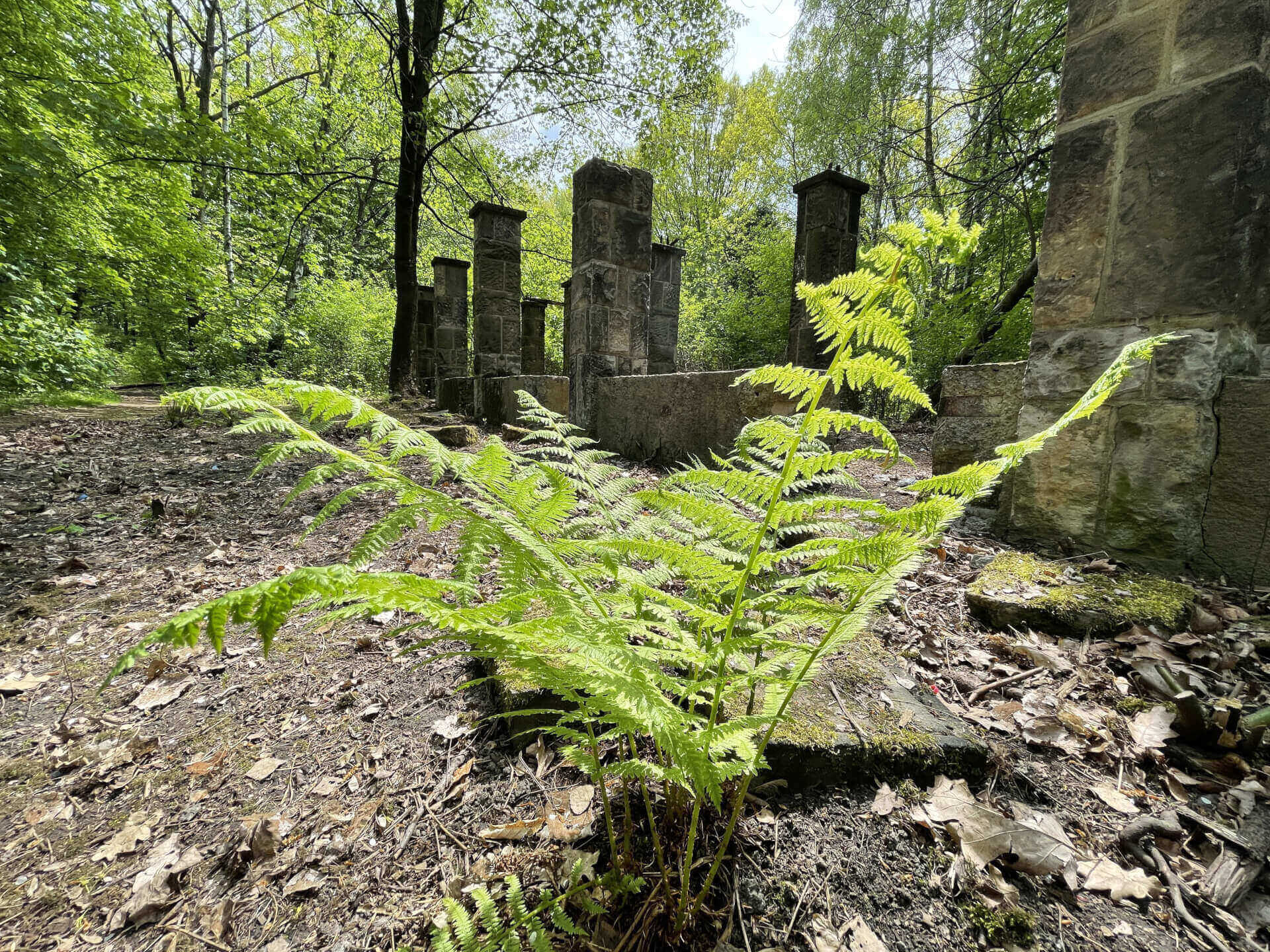 Park Śląski: ruiny alpinarium