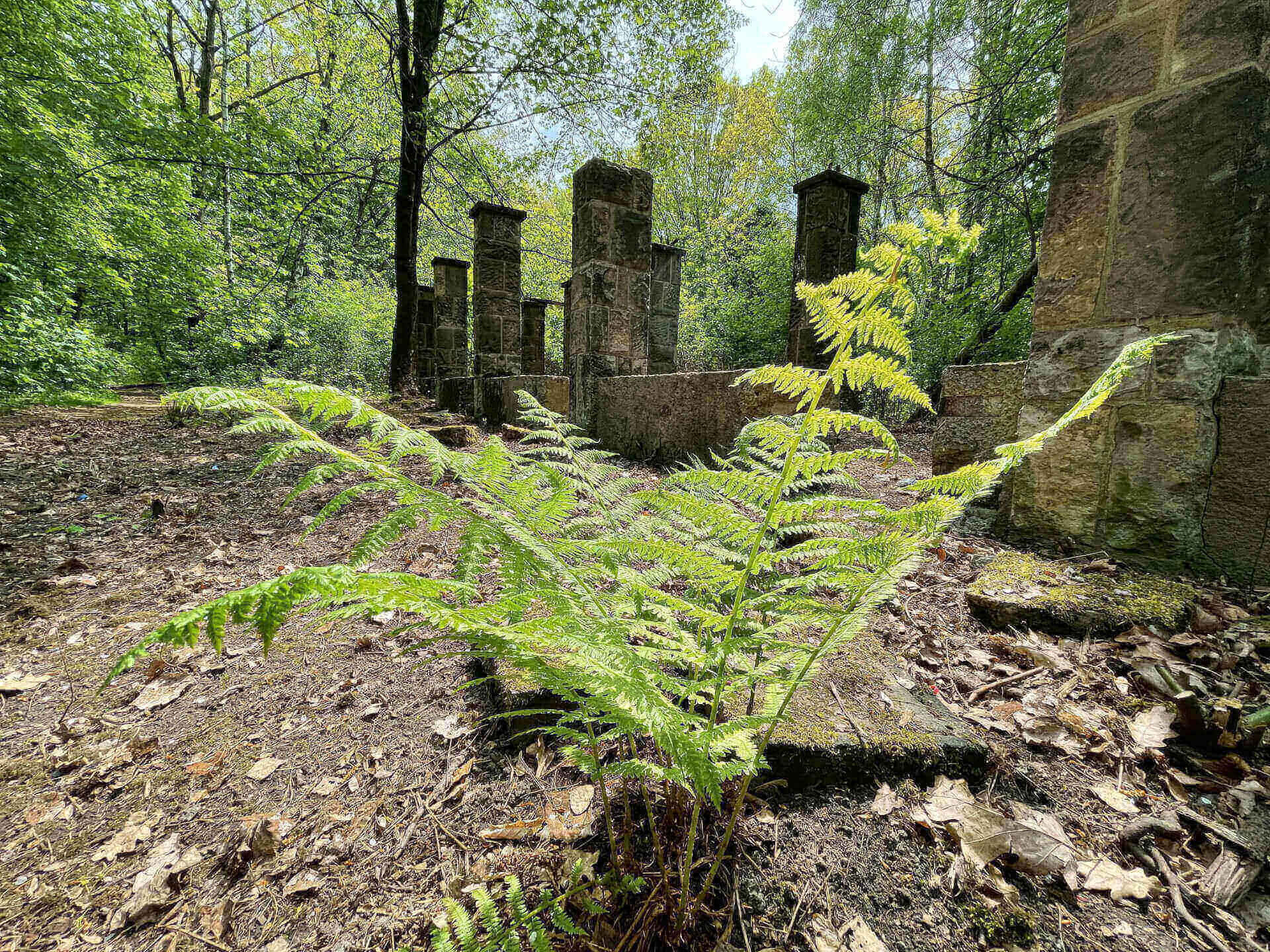 Park Śląski: ruiny alpinarium