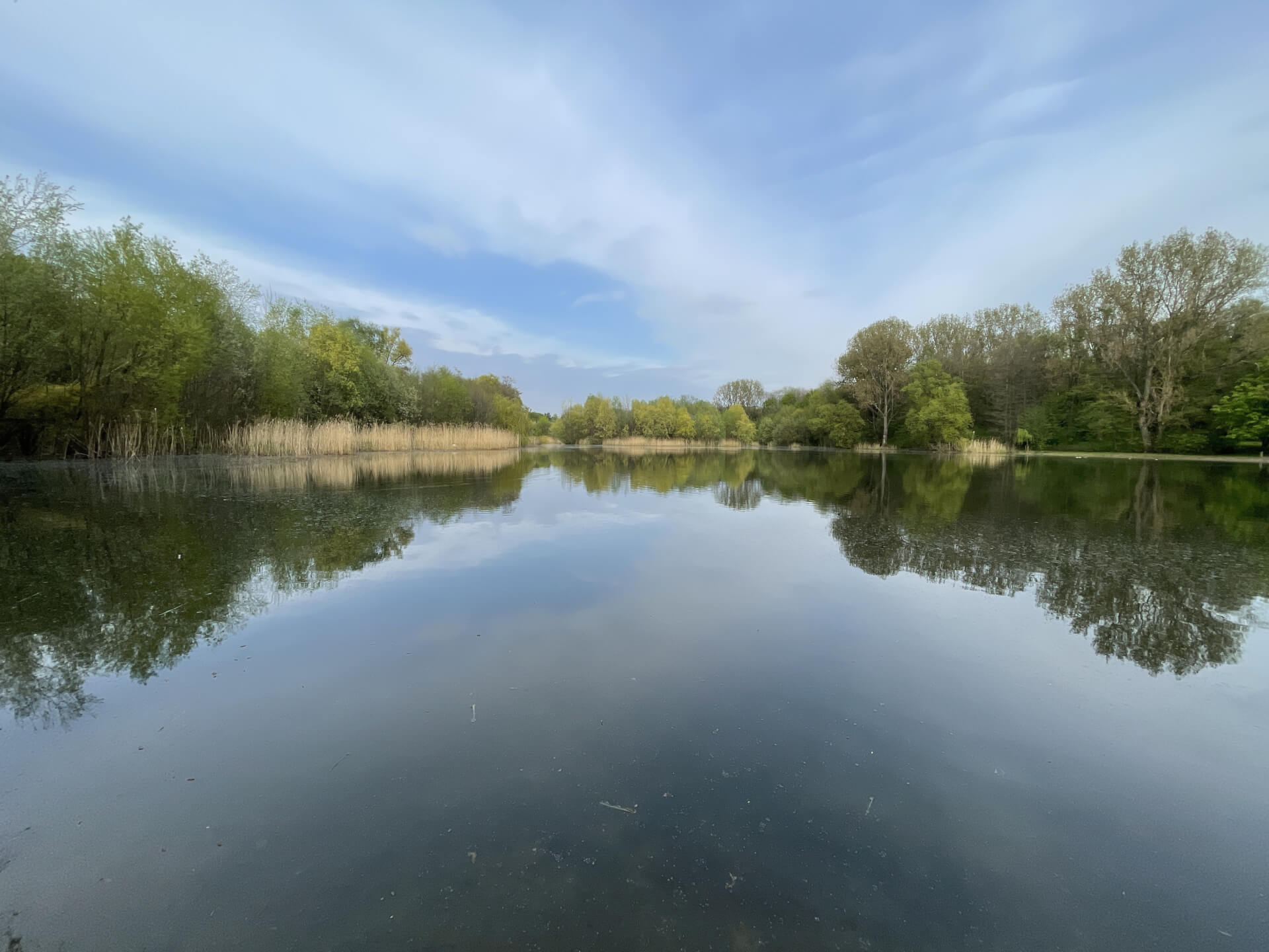 Park Śląski: staw Hutnik