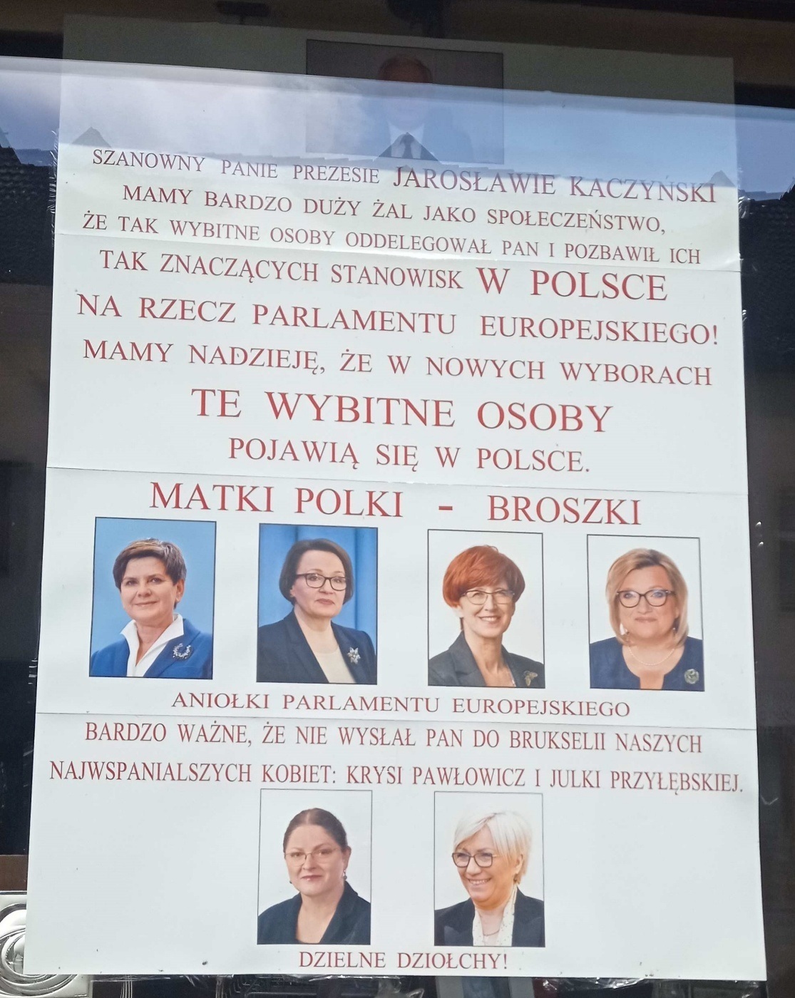 Politycznie zaagnażowana witryna sklepowa w Pszczynie 1