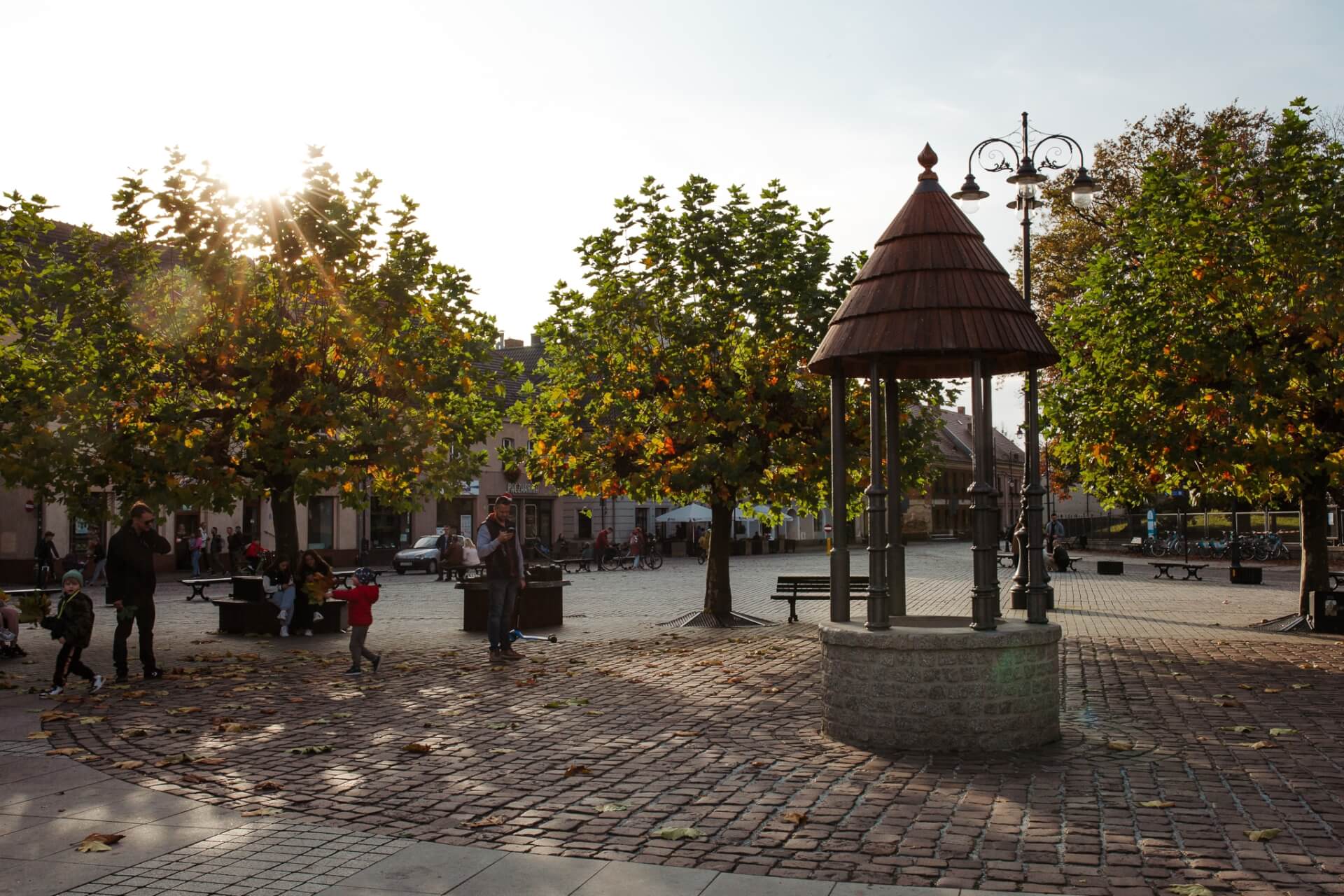 Rynek, park i zamek w Pszczynie