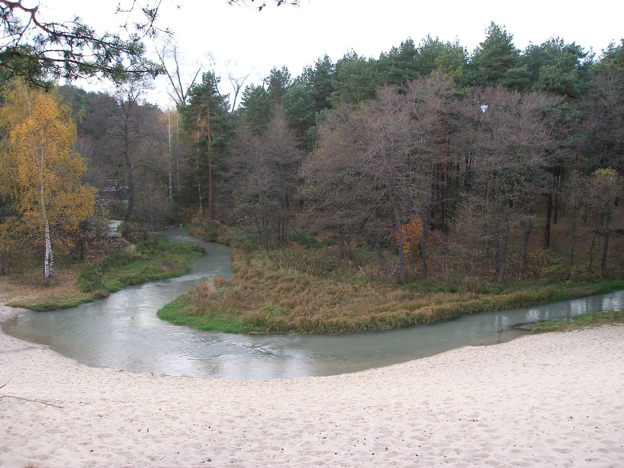 Pustynia Starczynowska