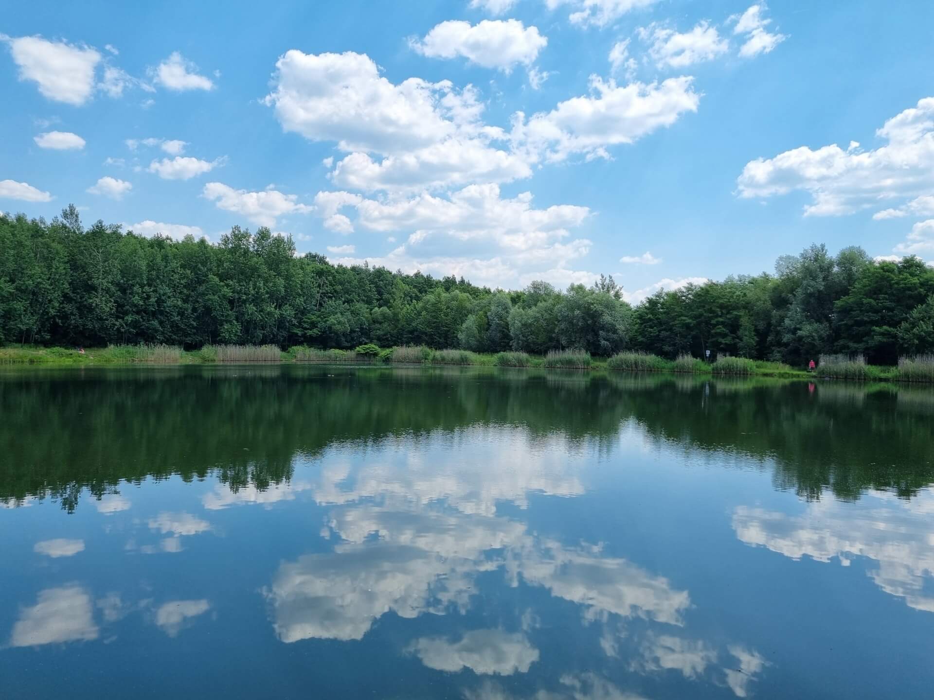 Radoszowy piękne są przez cały rok 2