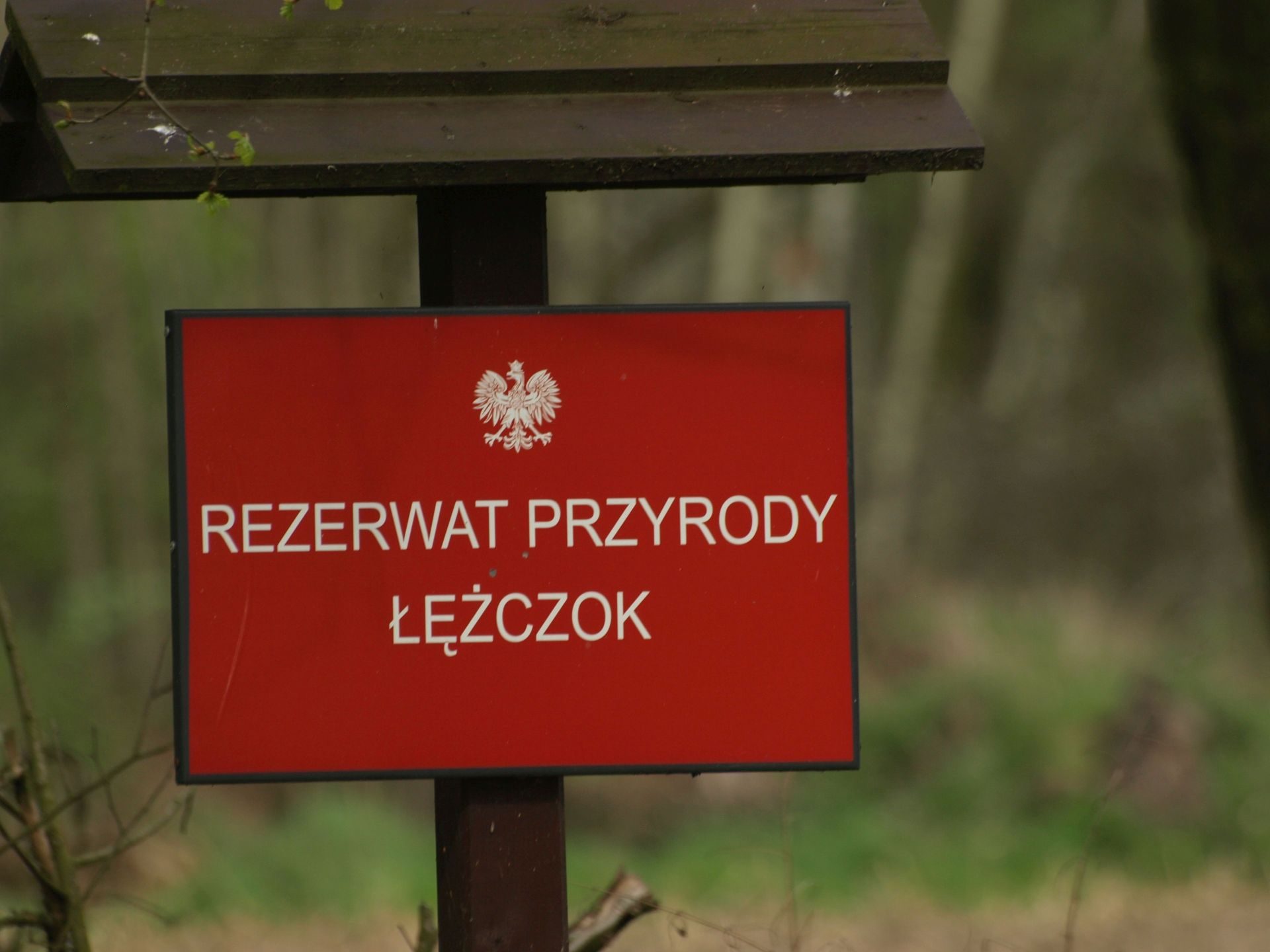 Rezerwat Łężczok