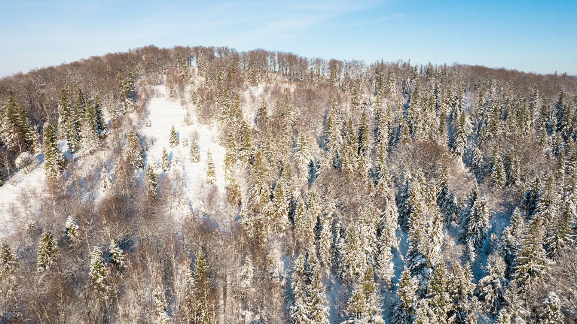 Rownica Beskid Slaski widok