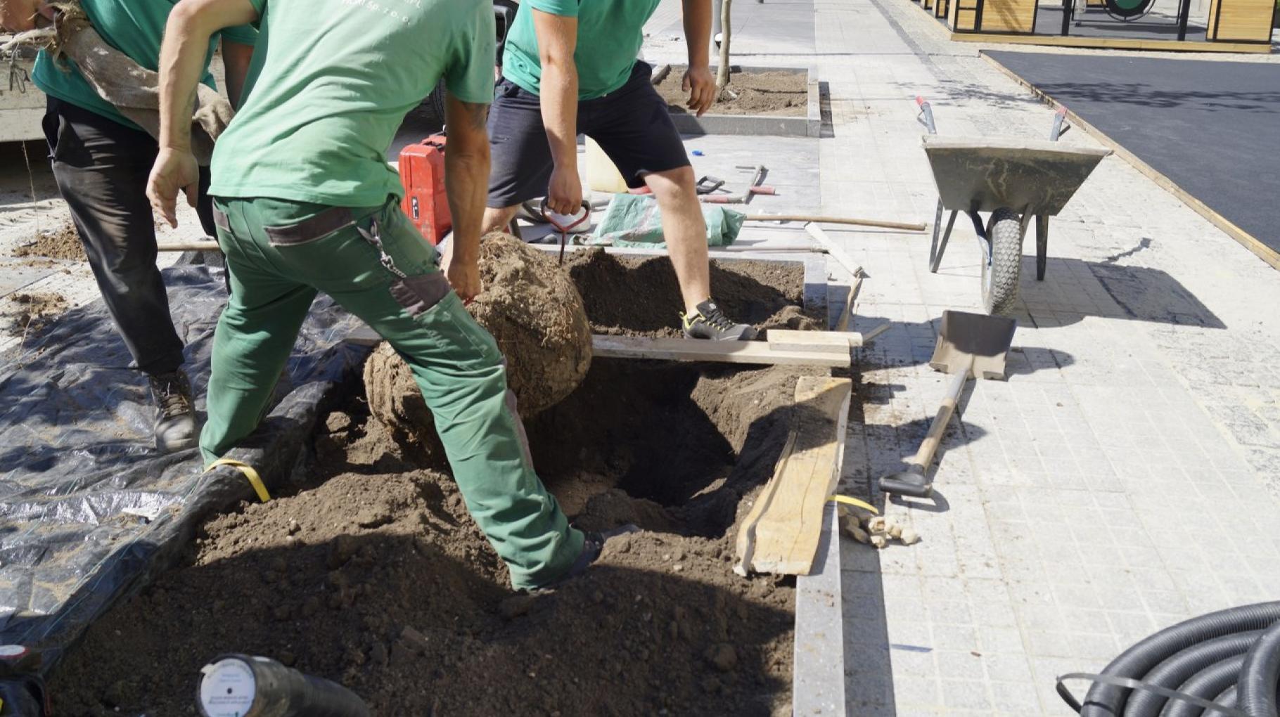 Rynek w Gliwicach przeszedł metamorfozę